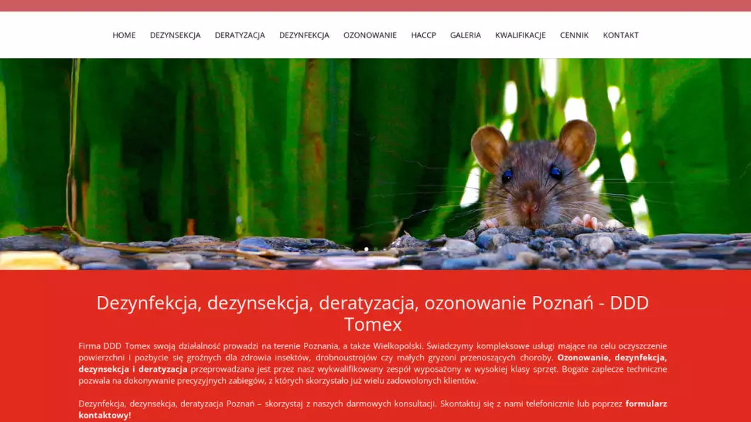 Zrzut ekranu strony